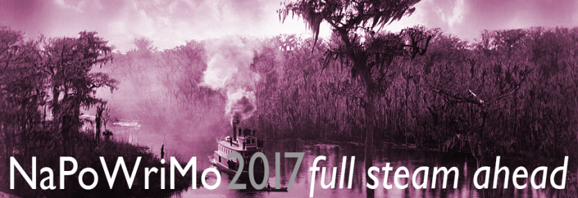 NaPoWriMo