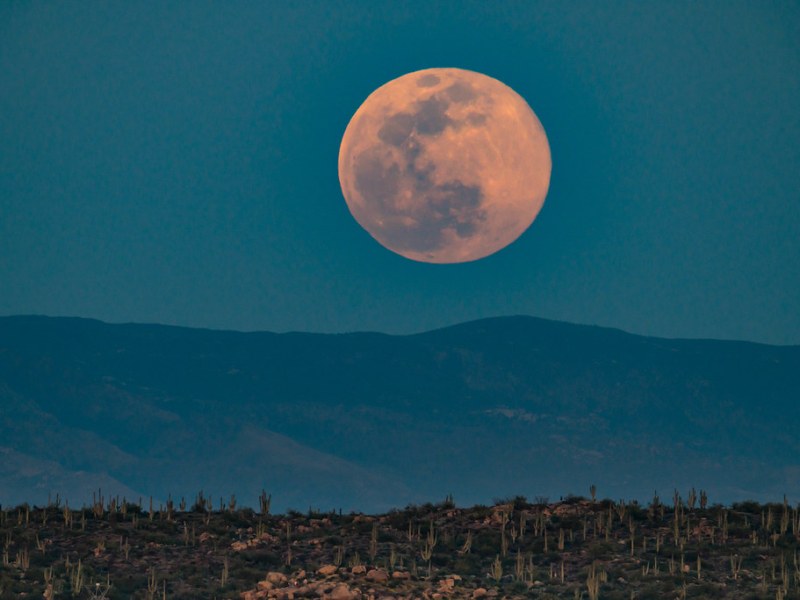 on the occasion of the pink moon ~ NaPoWriMo day&nbsp;25